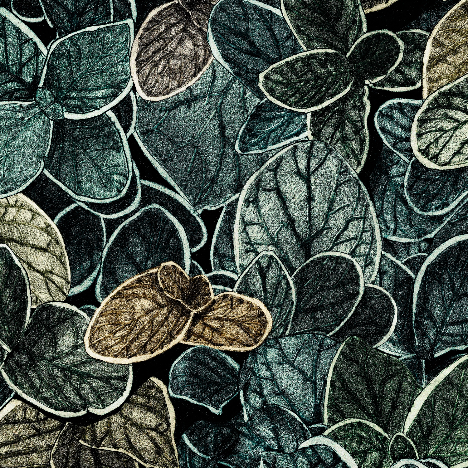 Anna CG06 — papel pintado Ressource Faune & Flore